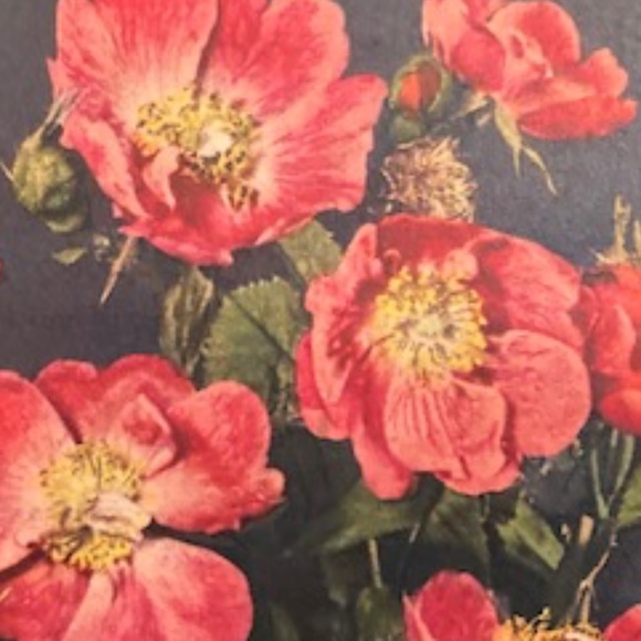 1960's Mohair Cardigan - Picture 7 of 7